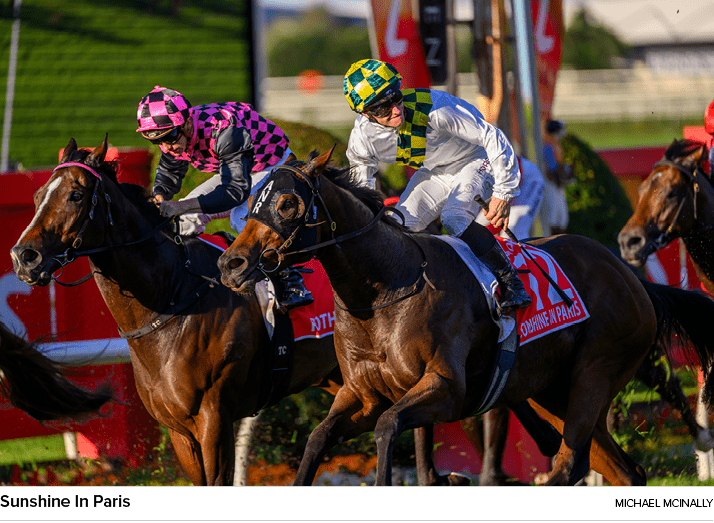 Sunshine In Paris Michael McInall