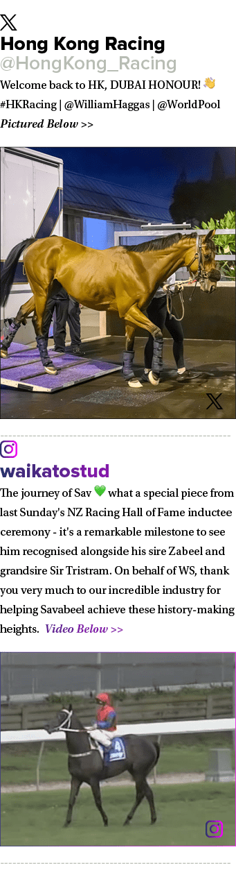 ￼ Hong Kong Racing @HongKong_Racing Welcome back to HK, DUBAI HONOUR! 👋 #HKRacing | @WilliamHaggas | @WorldPool Pict...