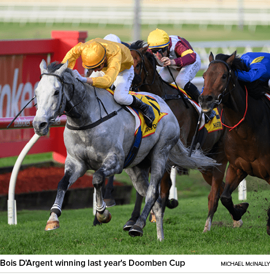 Bois D'Argent winning last year's Doomben Cup Michael Mcinall