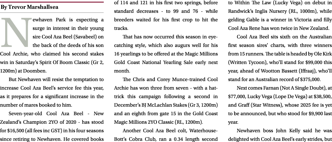 ￼ Newhaven Park is expecting a surge in interest in their young sire Cool Aza Beel (Savabeel) on the back of the deed...