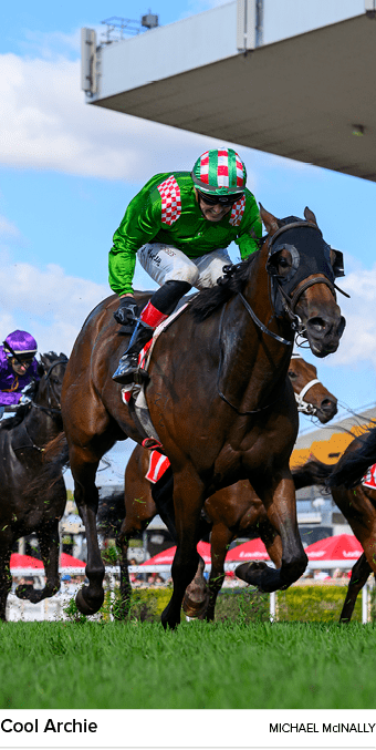 Cool Archie Michael McInall