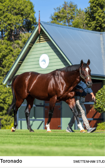 Toronado swettenham STU