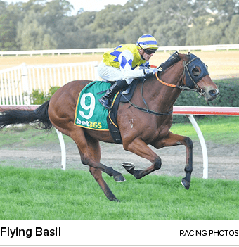 Flying Basil racing photo