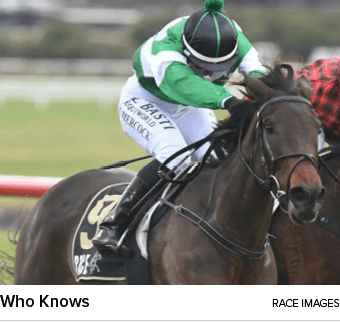 Who Knows RACE IMAGE