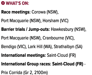 ￼ What's on: Race meetings: Corowa (NSW), Port Macquarie (NSW), Horsham (VIC) Barrier trials / Jump outs: Hawkesbury ...