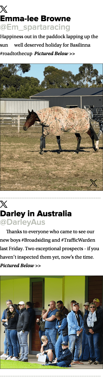 ￼ Emma lee Browne @Em_spartaracing Happiness out in the paddock lapping up the sun ☀️well deserved holiday for Basili...