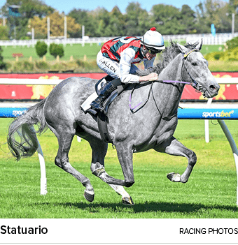 Statuario racing photo