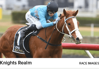 Knights Realm race image