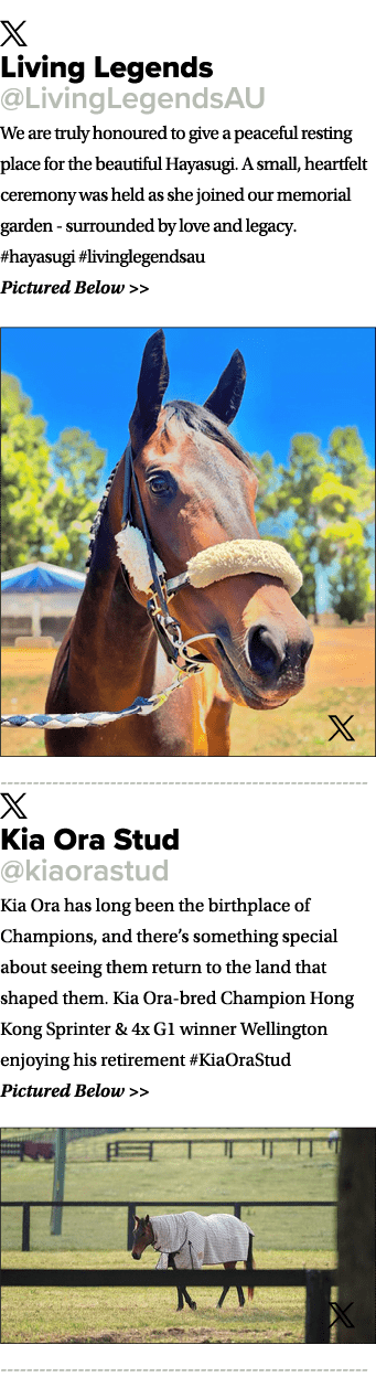 ￼ Living Legends @LivingLegendsAU We are truly honoured to give a peaceful resting place for the beautiful Hayasugi. ...