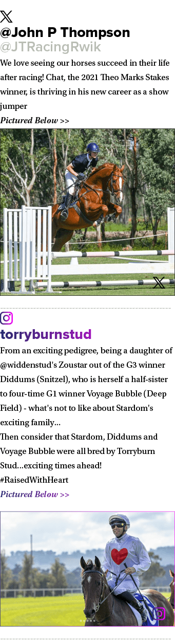 ￼ @John P Thompson @JTRacingRwik We love seeing our horses succeed in their life after racing! Chat, the 2021 Theo Ma...