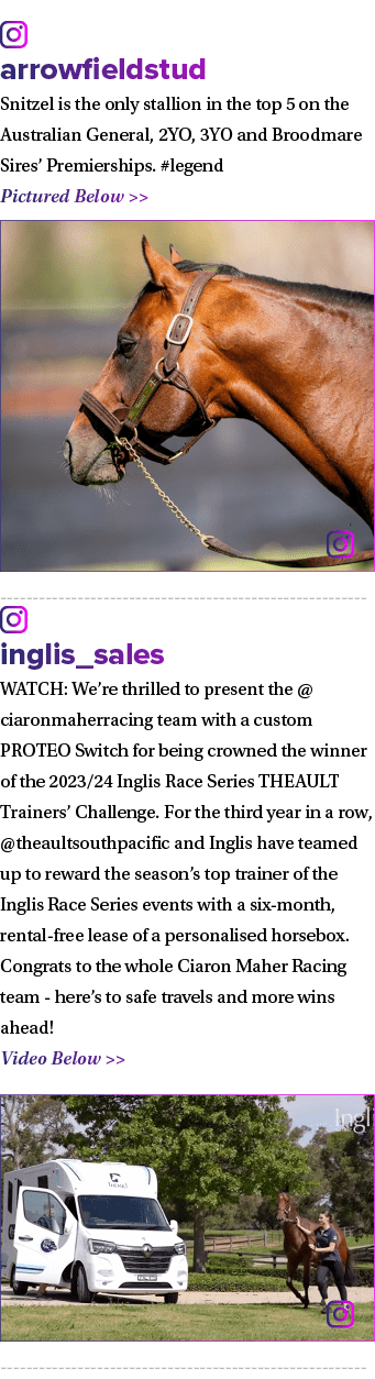 ￼ arrowfieldstud Snitzel is the only stallion in the top 5 on the Australian General, 2YO, 3YO and Broodmare Sires’ P...