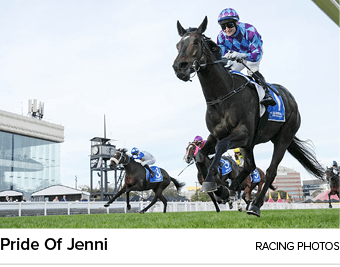 Pride Of Jenni racing photo