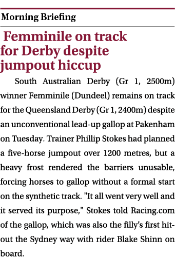  ￼ Femminile on track for Derby despite jumpout hiccup South Australian Derby (Gr 1, 2500m) winner Femminile (Dundeel...
