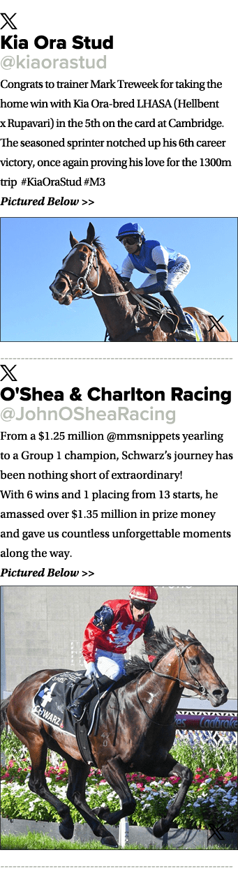 ￼ Kia Ora Stud @kiaorastud Congrats to trainer Mark Treweek for taking the home win with Kia Ora bred LHASA (Hellbent...