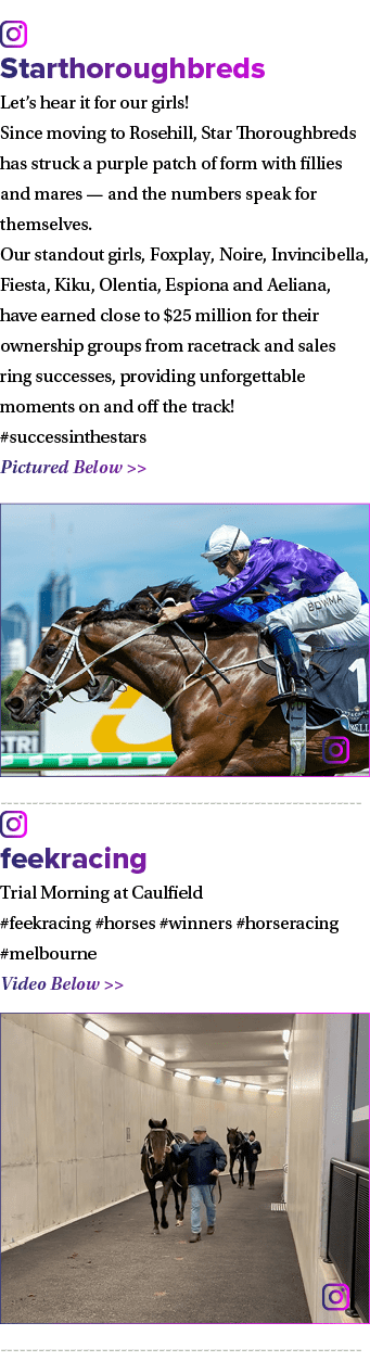 ￼ Starthoroughbreds Let’s hear it for our girls! Since moving to Rosehill, Star Thoroughbreds has struck a purple pat...