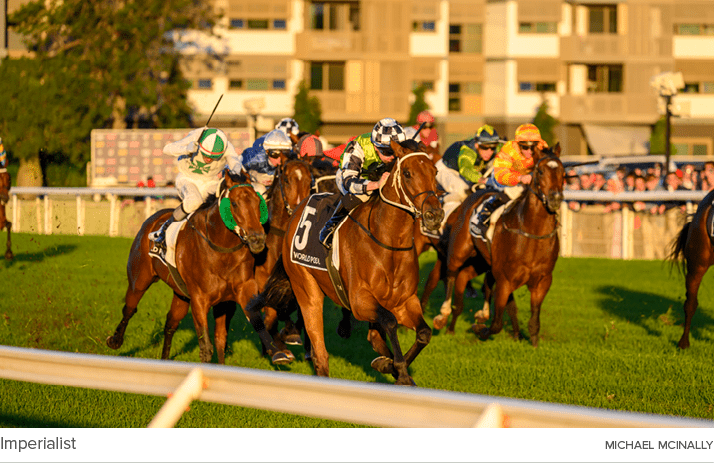 Imperialist Michael McInall