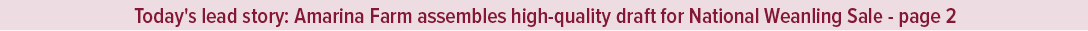 Today's lead story: Amarina Farm assembles high quality draft for National Weanling Sale page 