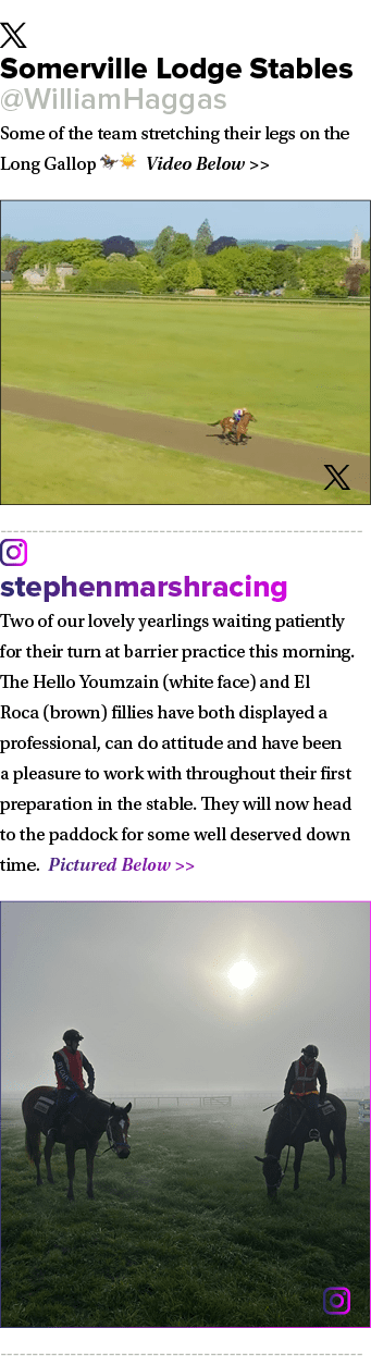 ￼ Somerville Lodge Stables @WilliamHaggas Some of the team stretching their legs on the Long Gallop 🏇☀️ Video Below ...