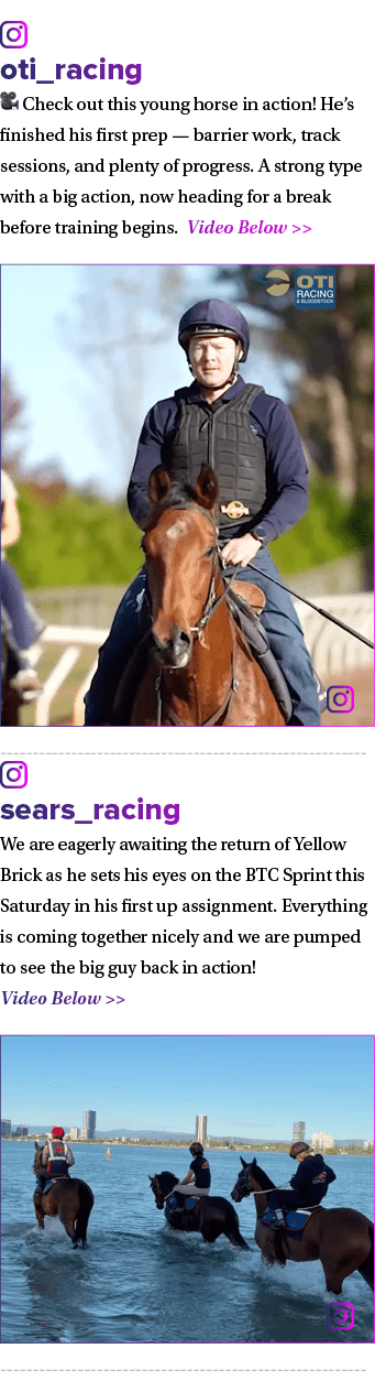 ￼ oti_racing 🎥 Check out this young horse in action! He’s finished his first prep — barrier work, track sessions, an...
