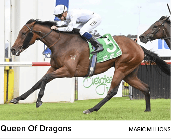 Queen Of Dragons magic million