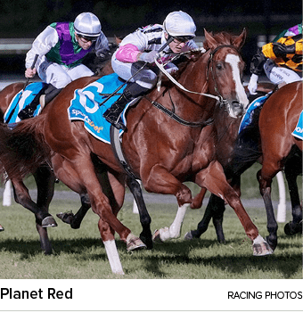 Planet Red racing photo