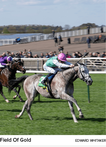 Field Of Gold Edward Whitake