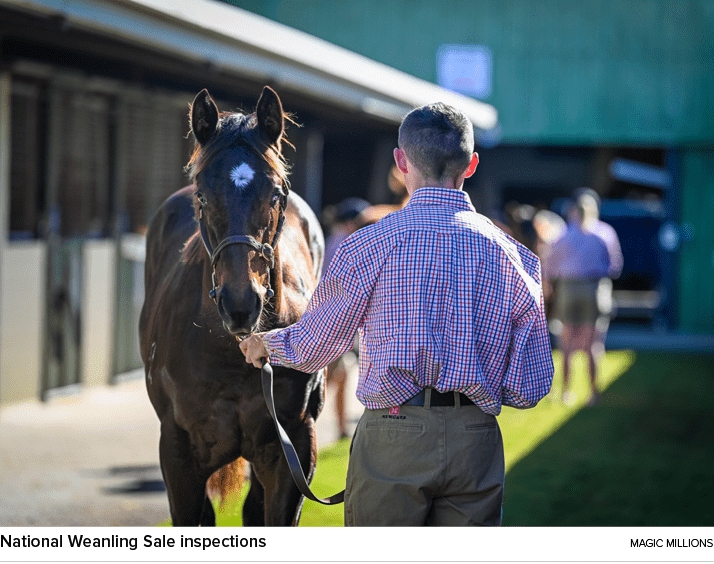 National Weanling Sale inspections magic million