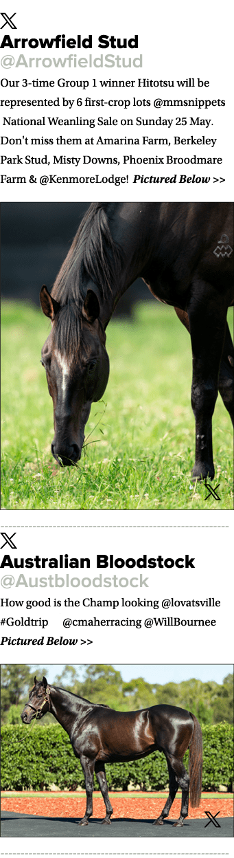 ￼ Arrowfield Stud @ArrowfieldStud Our 3 time Group 1 winner Hitotsu will be represented by 6 first crop lots @mmsnipp...