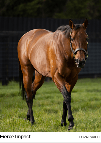 Fierce Impact lovatsvill