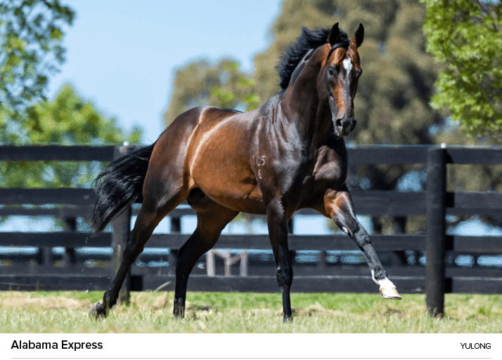 Alabama Express yulon