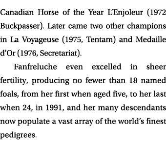 Canadian Horse of the Year L’Enjoleur (1972 Buckpasser). Later came two other champions in La Voyageuse (1975, Tentam...