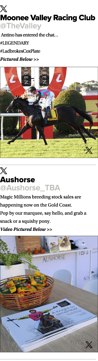 ￼ Moonee Valley Racing Club @TheValley Antino has entered the chat… #LEGENDARY #LadbrokesCoxPlate Pictured Below   ￼...