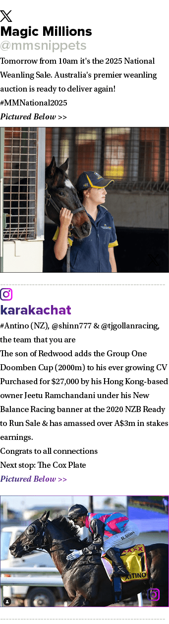 ￼ Magic Millions @mmsnippets Tomorrow from 10am it's the 2025 National Weanling Sale. Australia's premier weanling au...