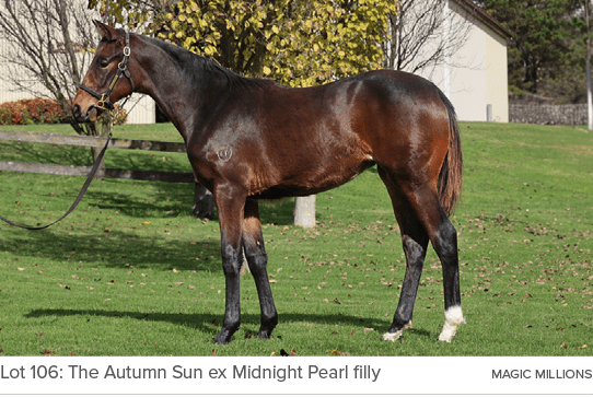 Lot 106: The Autumn Sun ex Midnight Pearl filly Magic Million