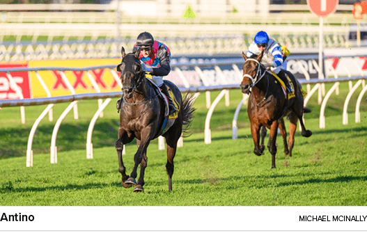 Antino Michael McInall