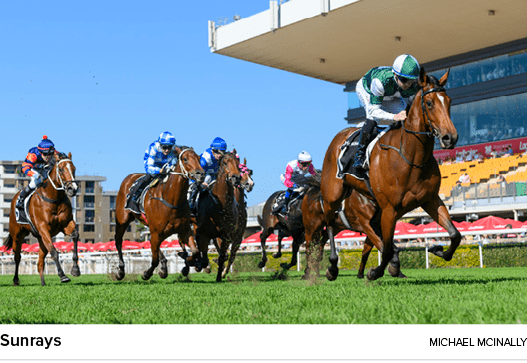 Sunrays Michael McInall