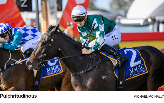 Pulchritudinous Michael McInall