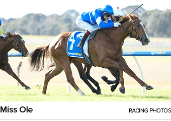 Miss Ole Racing Photo