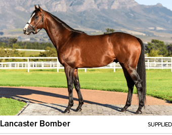 Lancaster Bomber Supplied