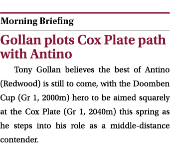  ￼ Gollan plots Cox Plate path with Antino Tony Gollan believes the best of Antino (Redwood) is still to come, with t...