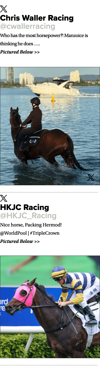 ￼ Chris Waller Racing @cwallerracing Who has the most horsepower?! Manzoice is thinking he does ….. Pictured Below  ...