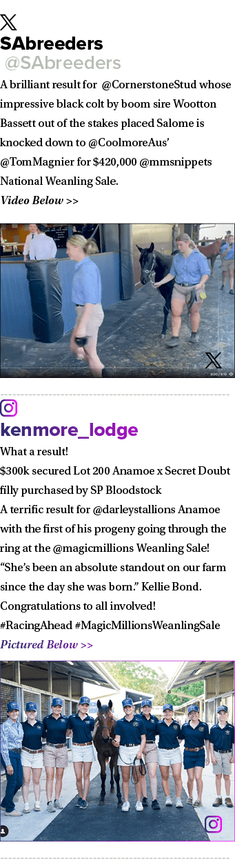 ￼ SAbreeders @SAbreeders A brilliant result for @CornerstoneStud whose impressive black colt by boom sire Wootton Bas...