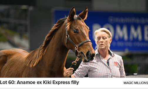 Lot 60: Anamoe ex Kiki Express filly Magic Million