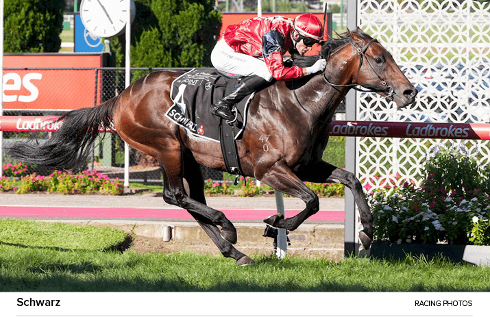 Schwarz Racing Photo