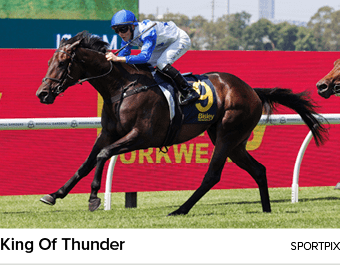 King Of Thunder sportpi