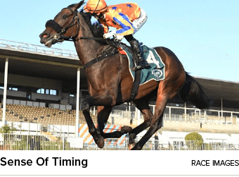 Sense Of Timing Race Image