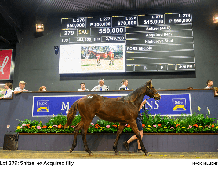 Lot 279: Snitzel ex Acquired filly Magic Million
