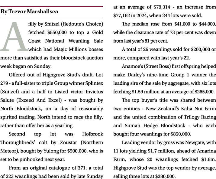 ￼ A filly by Snitzel (Redoute’s Choice) fetched $550,000 to top a Gold Coast National Weanling Sale which had Magic M...