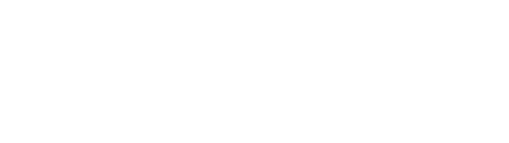 Snitzel plays starring role at the Magic Millions National Weanling Sale