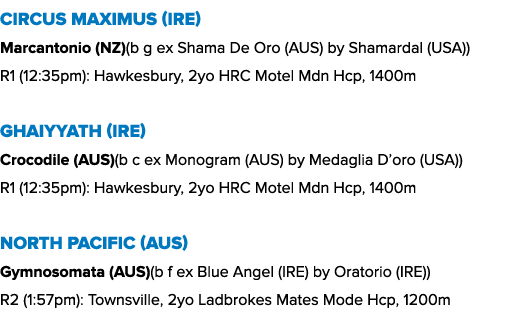 Circus Maximus (IRE) Marcantonio (NZ)(b g ex Shama De Oro (AUS) by Shamardal (USA)) R1 (12:35pm): Hawkesbury, 2yo HRC...